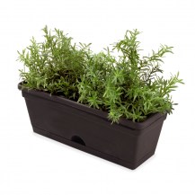 18440 - garden up herb pot with herbs6